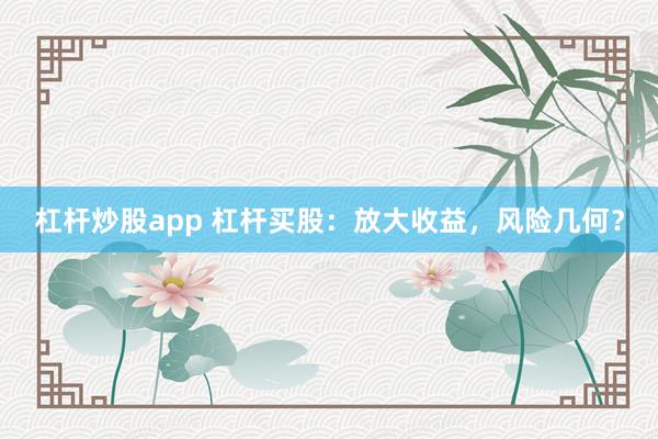 杠杆炒股app 杠杆买股：放大收益，风险几何？