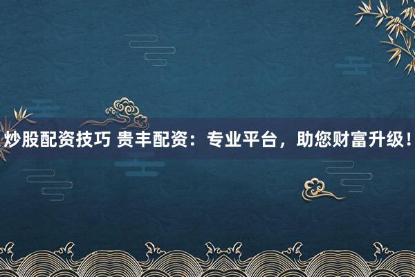炒股配资技巧 贵丰配资：专业平台，助您财富升级！