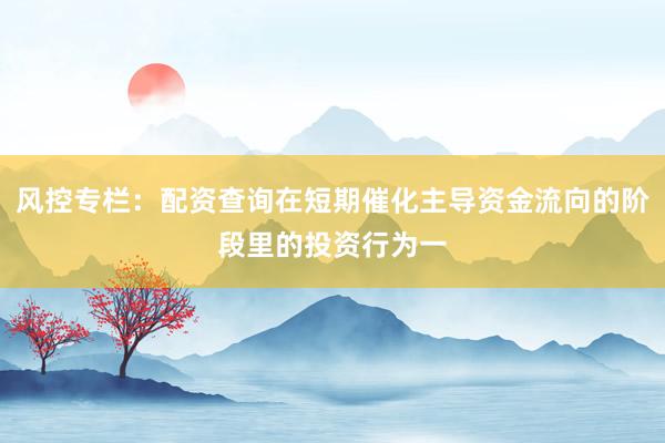 风控专栏：配资查询在短期催化主导资金流向的阶段里的投资行为一