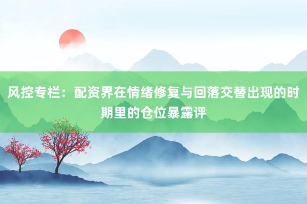 风控专栏：配资界在情绪修复与回落交替出现的时期里的仓位暴露评