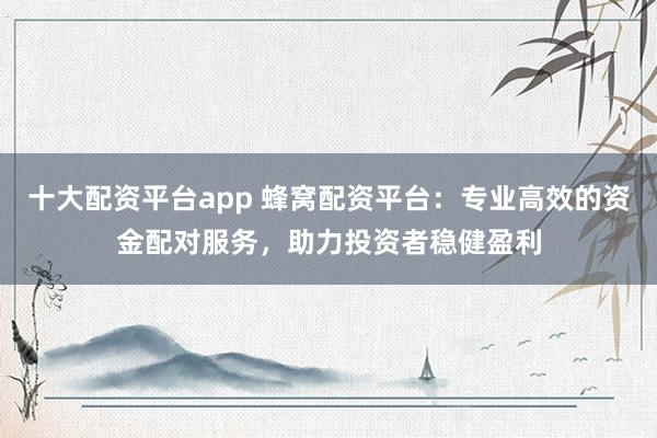 十大配资平台app 蜂窝配资平台：专业高效的资金配对服务，助力投资者稳健盈利