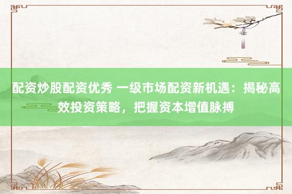 配资炒股配资优秀 一级市场配资新机遇：揭秘高效投资策略，把握资本增值脉搏