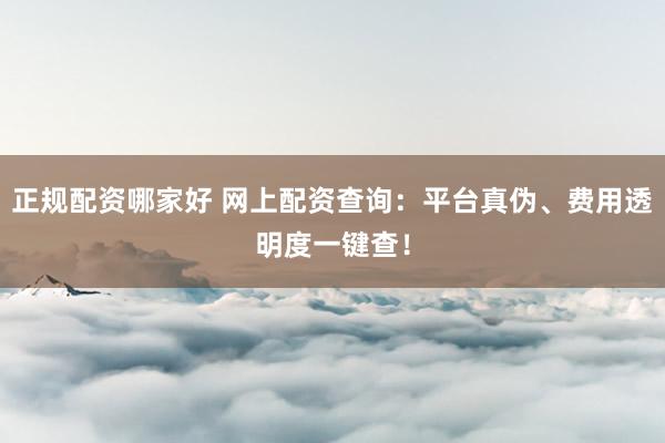 正规配资哪家好 网上配资查询：平台真伪、费用透明度一键查！